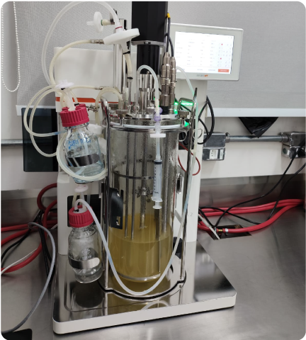 bioprocessos biorreator