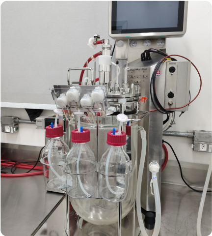 bioprocessos biorreator