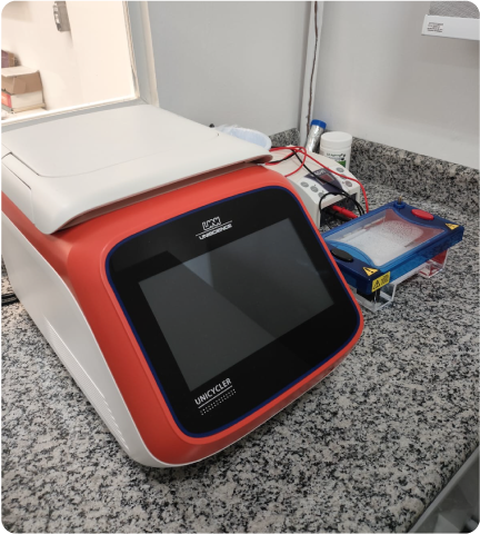 servicos-1 servicos-1