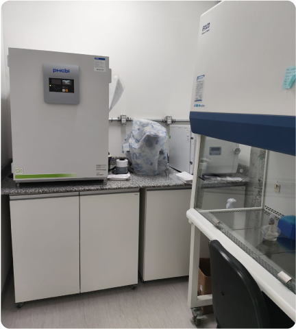 servicos-3 servicos-3