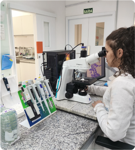 microbiologia microscopia, Coloração de Gram