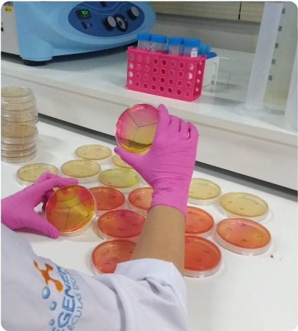 bioensaio ensaios biológicos